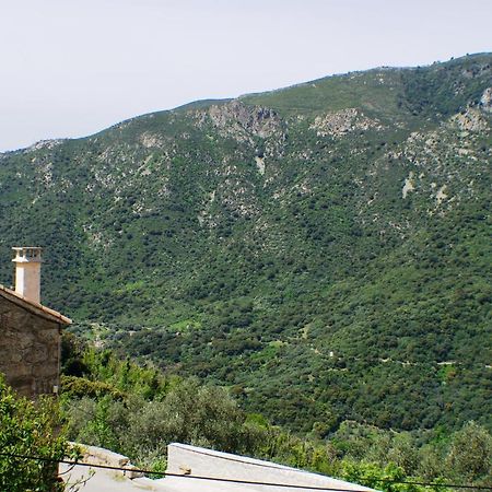 Studio Le Petit Nid D'Amour Meuble Tourisme 3 Etoiles Poggio Santa-Lucia-di-Tallano Exterior foto